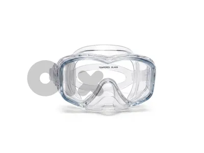 Seals Snorkeling Masks