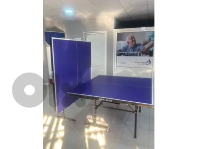 expert roller (indoor table tennis)