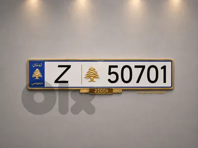 special plate number