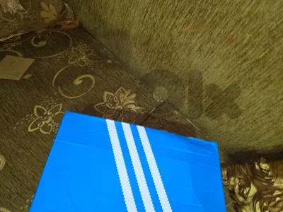 Adidas Campus 00s