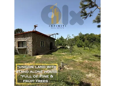 Land For Sale in Badghan, Aley أرض مميزة للبيع في بدغان، عاليه