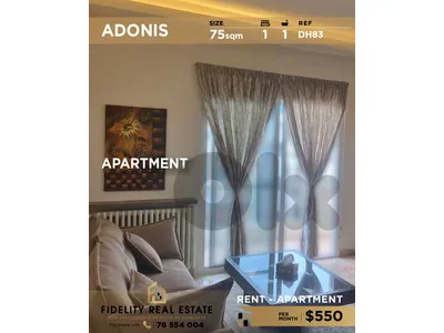Apartment for rent in Adonis DH83 شقة للإيجار في أدونيس