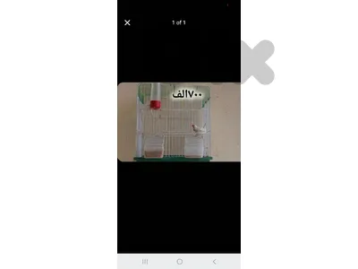 طرابلس ابو سمرا لتواصل عله 76486192