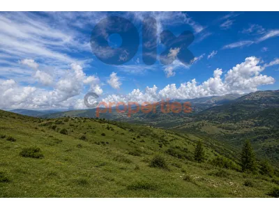 Prime Land for rent in Zaarour – CPSM503