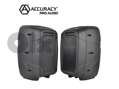 Accuracy Pro Audio PMLT 10 speaker