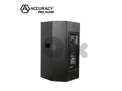 Accuracy pro audio WHN15D3 subwoofer
