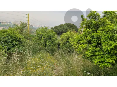 Land Plot For Sale in Chouf (​Great investment opportunity)