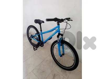 بسكليت اوروبي