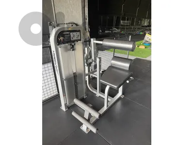 fly and back extension Life Fitness