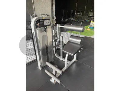 fly and back extension Life Fitness