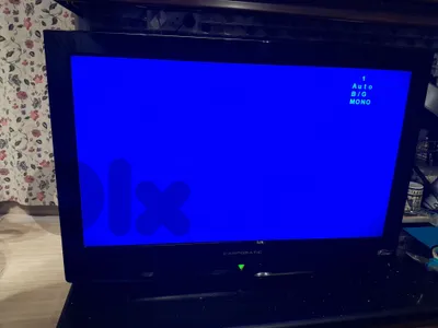 الضبية