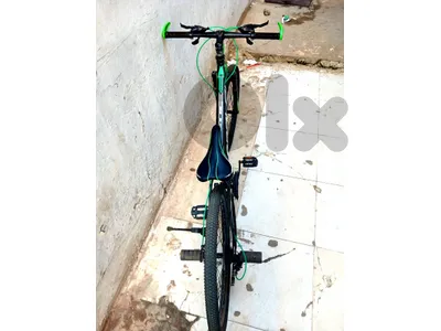 71355005