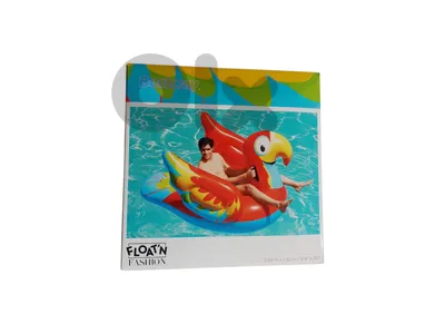 203 x 132cm  floating parrot