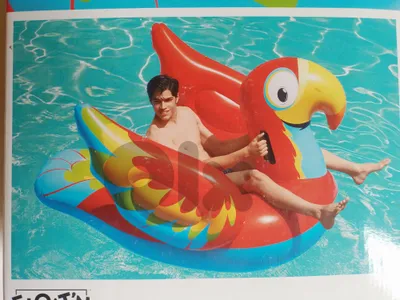 203 x 132cm  floating parrot