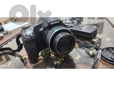 Sony HX100V