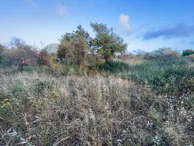 land for sale in batroun ارض للبيع في البترون land for sale in batroun ارض للبيع في البترون