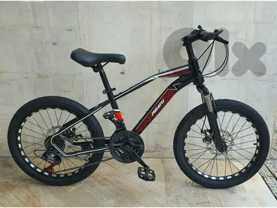 Pigatu bike 20" disc brakes & 21 speed (brand new)