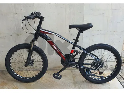 Pigatu bike 20" disc brakes & 21 speed (brand new)