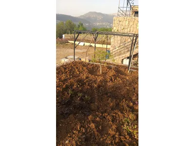 beautiful land for sale in bteghrine