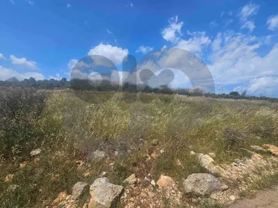 Investment opportunity , great deal, koura, nakhleh/نخله REF#PC136577