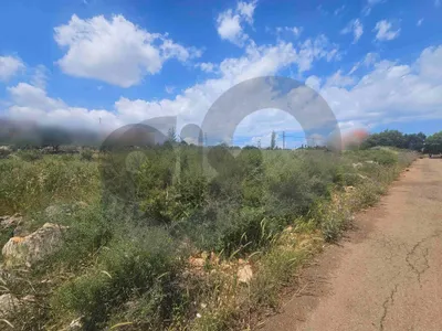 Calm Neighborhood, negotiable, koura, nakhleh/نخله REF#PC136574