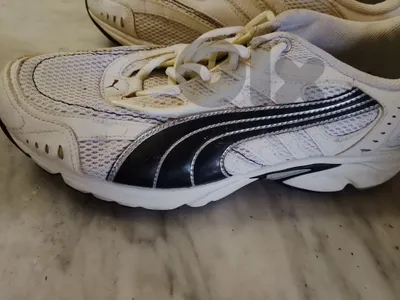 puma original