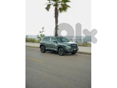 BYD Leopard 3 - 2025 MY - AWD ( Dual Motor )