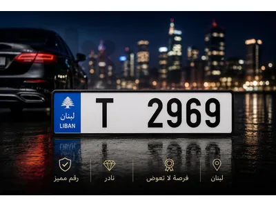 Special 4-Digit Car Plate Number – T2969