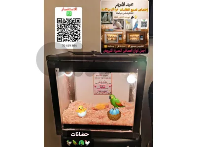 70419804 للإستفسار