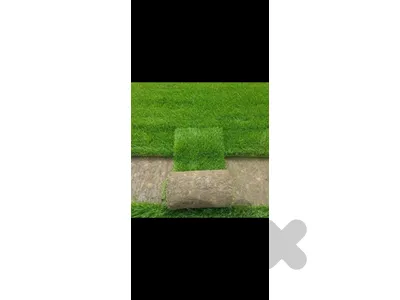Gazzon roll