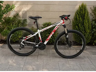 🚴‍♂️ Wilier 407 XB Triestina – Premium Mountain Bike