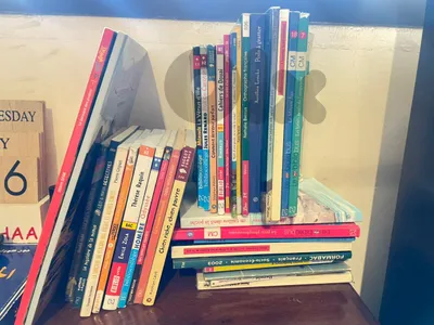 Huge French Book Bundle (35 Books - Mixed Genres)