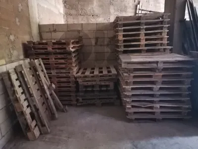 طبليات