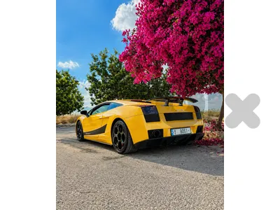 Lamborghini Gallardo 2005 gallardo44