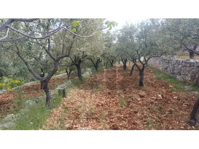 land for sale in Oura ارض للبيع في عورا