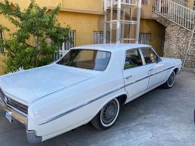 Buick Other 1965 skylark