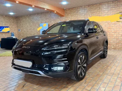 BYD Other 2025