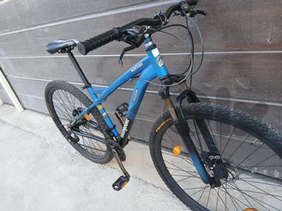 Mongoose 29"