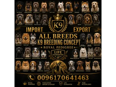 import and export all breeds