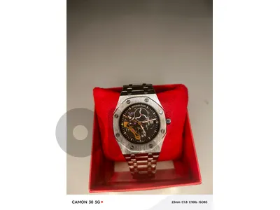 Audermars piguet