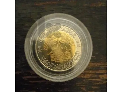 saudi coin