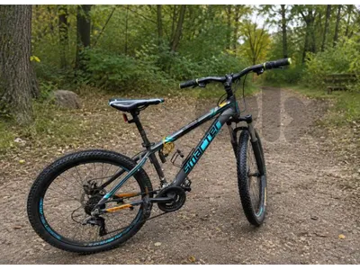 Mountain Bike – $160