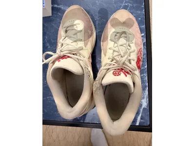 giannis shoes