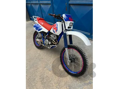 XLR 250