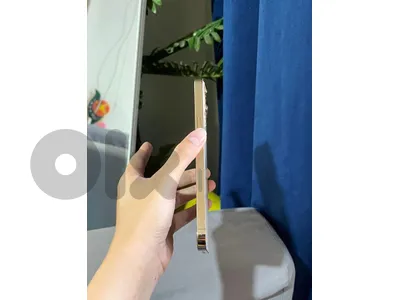 iphone 13 pro 1 terra