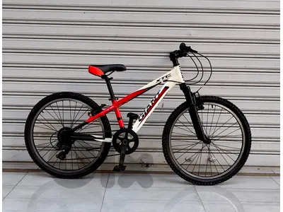 giant bicycle 24 🇺🇸