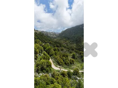 Lands For Sale in Ehmej أراضي للبيع في إهمج