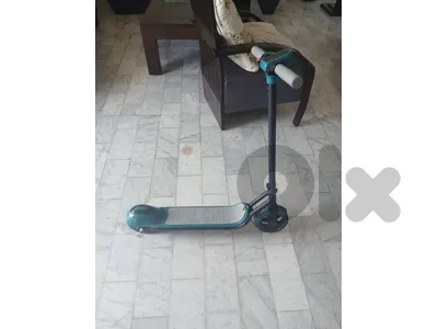 ELECTRIC SCOUTER