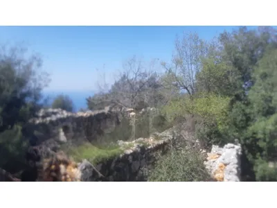Prime Location Land For Sale In Jouret El Termos ارض للبيع في جورة الترموس