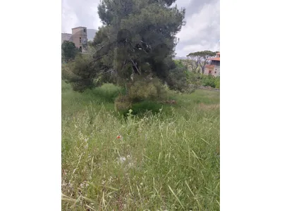 أرض للبيع في رويسات صوفر land for sale in sawfar aley